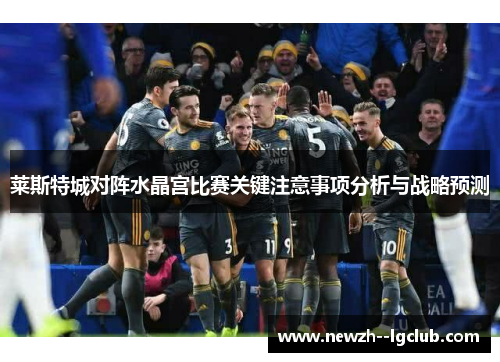 莱斯特城对阵水晶宫比赛关键注意事项分析与战略预测 莱斯特城对阵水晶宫比赛关键注意事项分析与战略预测