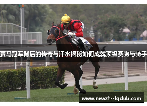赛马冠军背后的传奇与汗水揭秘如何成就顶级赛驹与骑手
